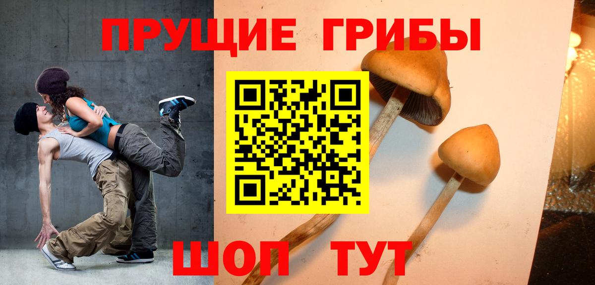 Галлюциногенные грибы мухоморы  Галлюциногенные грибы Psilocybe  Вход с VPN  Усинск 
